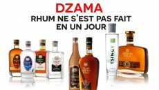 Rhums Dzama Madagascar, Compagnie Vidzar