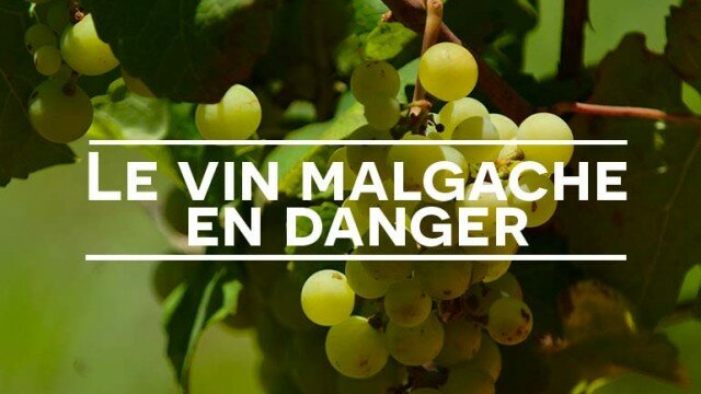 Vins Madagascar